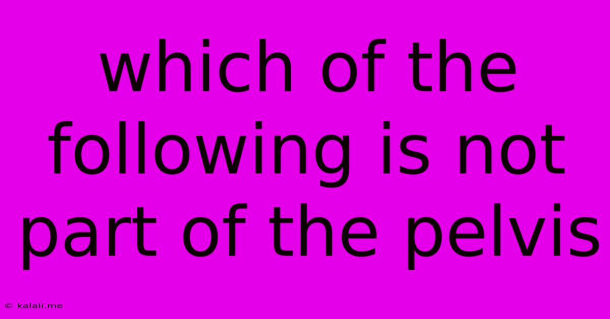 Which Of The Following Is Not Part Of The Pelvis