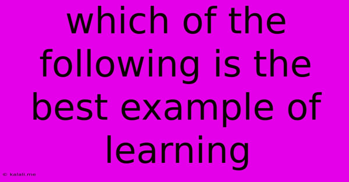 Which Of The Following Is The Best Example Of Learning