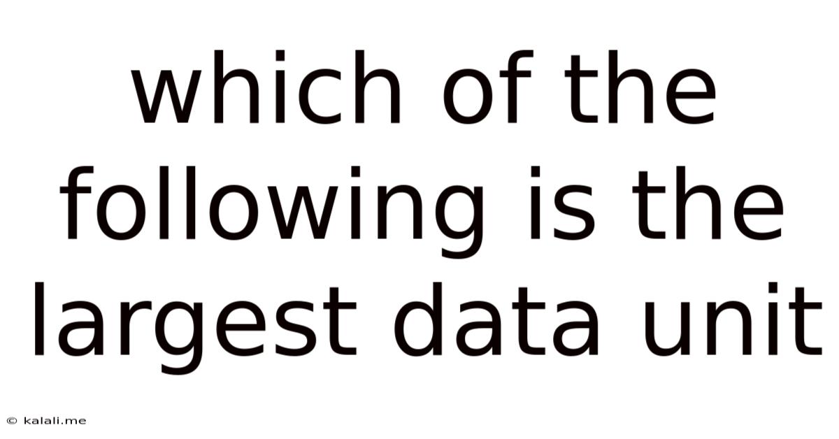 Which Of The Following Is The Largest Data Unit