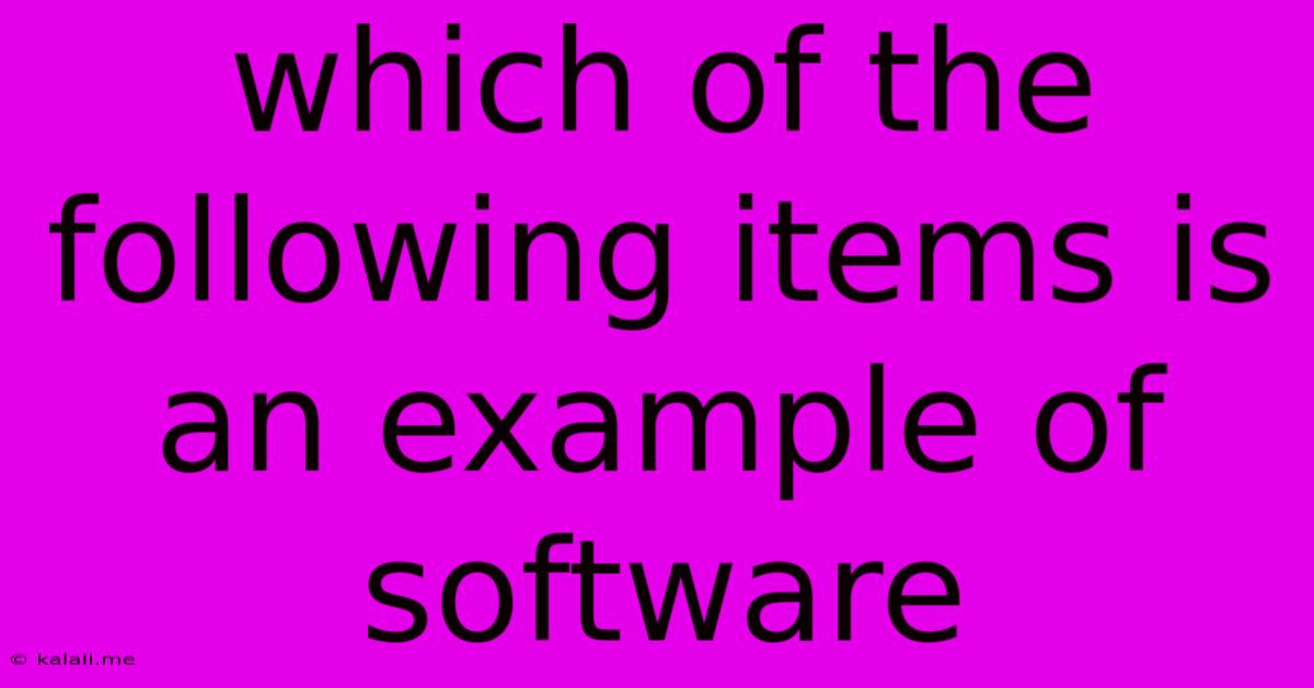 Which Of The Following Items Is An Example Of Software