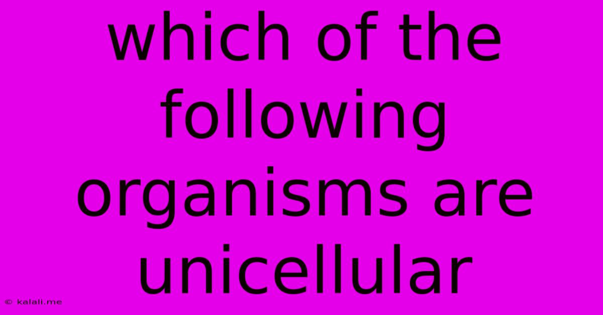 Which Of The Following Organisms Are Unicellular