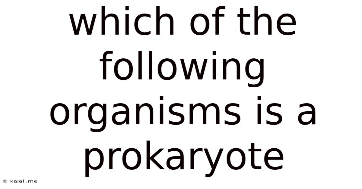 Which Of The Following Organisms Is A Prokaryote