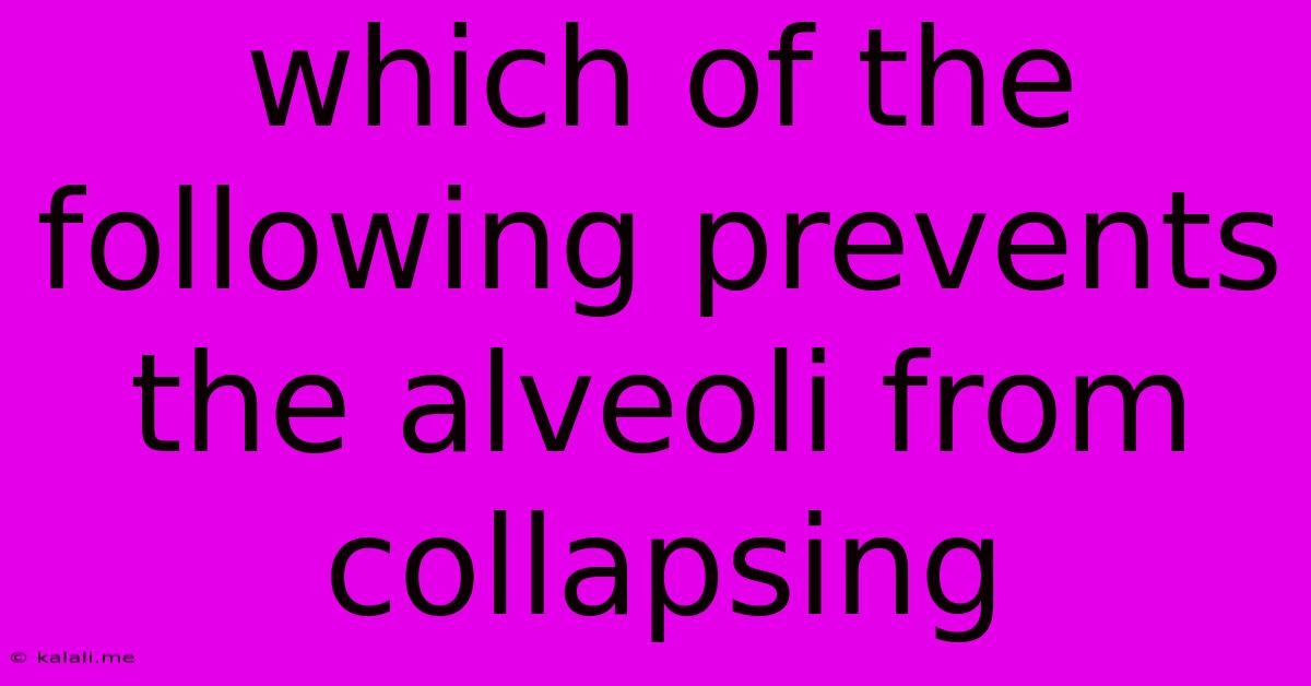 Which Of The Following Prevents The Alveoli From Collapsing
