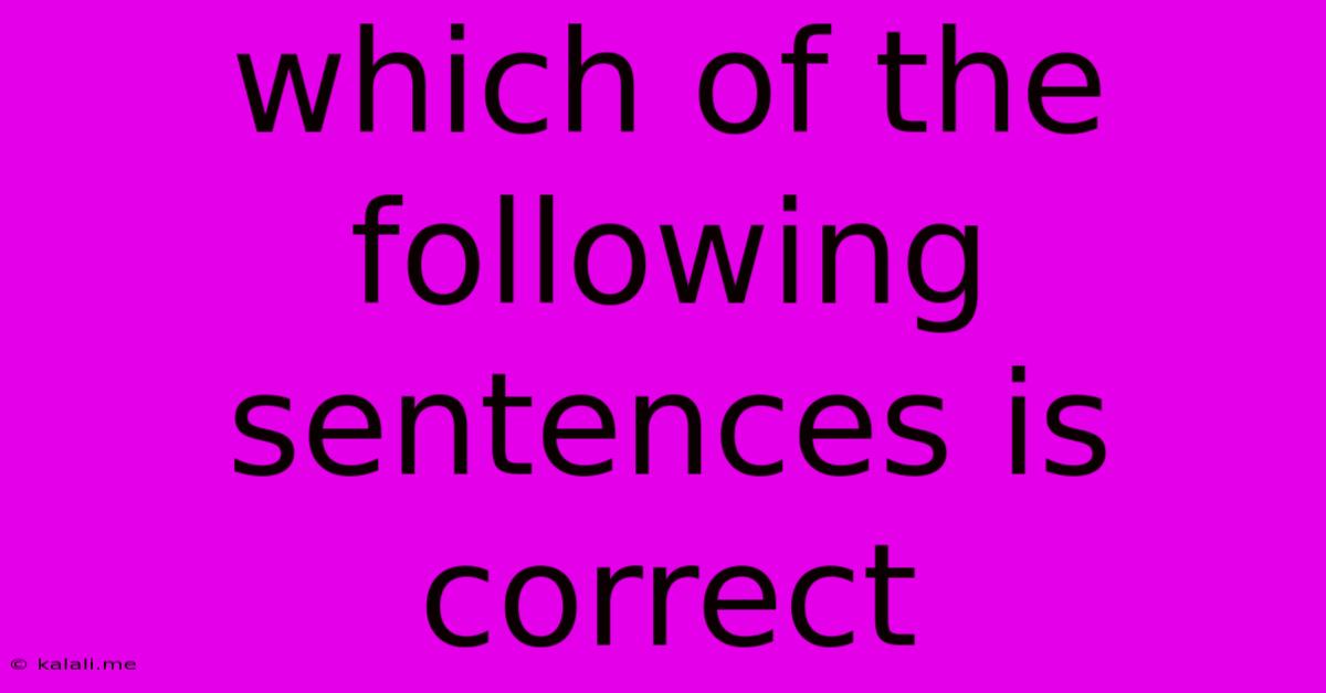 Which Of The Following Sentences Is Correct