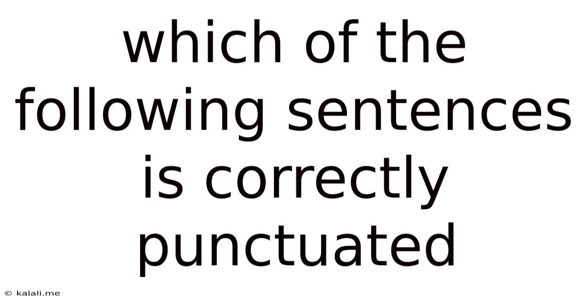 Which Of The Following Sentences Is Correctly Punctuated