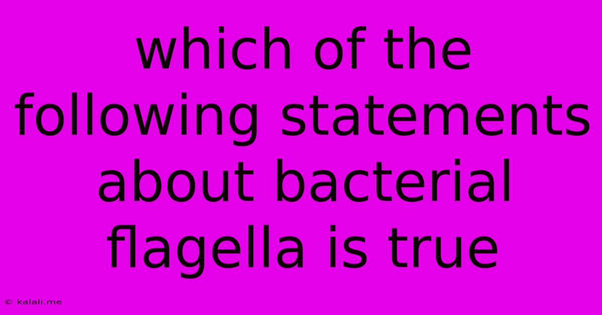 Which Of The Following Statements About Bacterial Flagella Is True