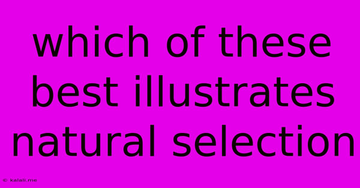 Which Of These Best Illustrates Natural Selection
