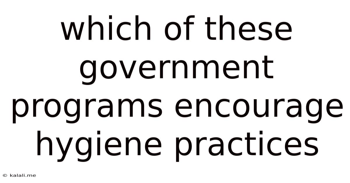 Which Of These Government Programs Encourage Hygiene Practices