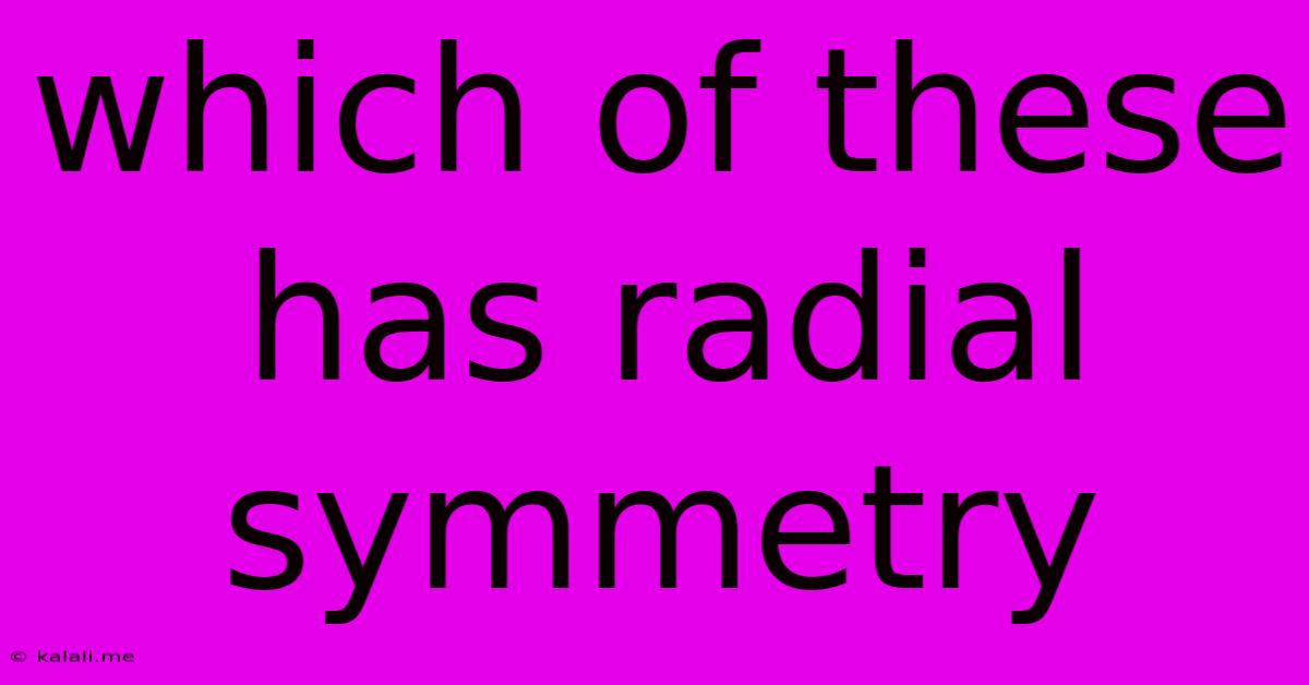 Which Of These Has Radial Symmetry