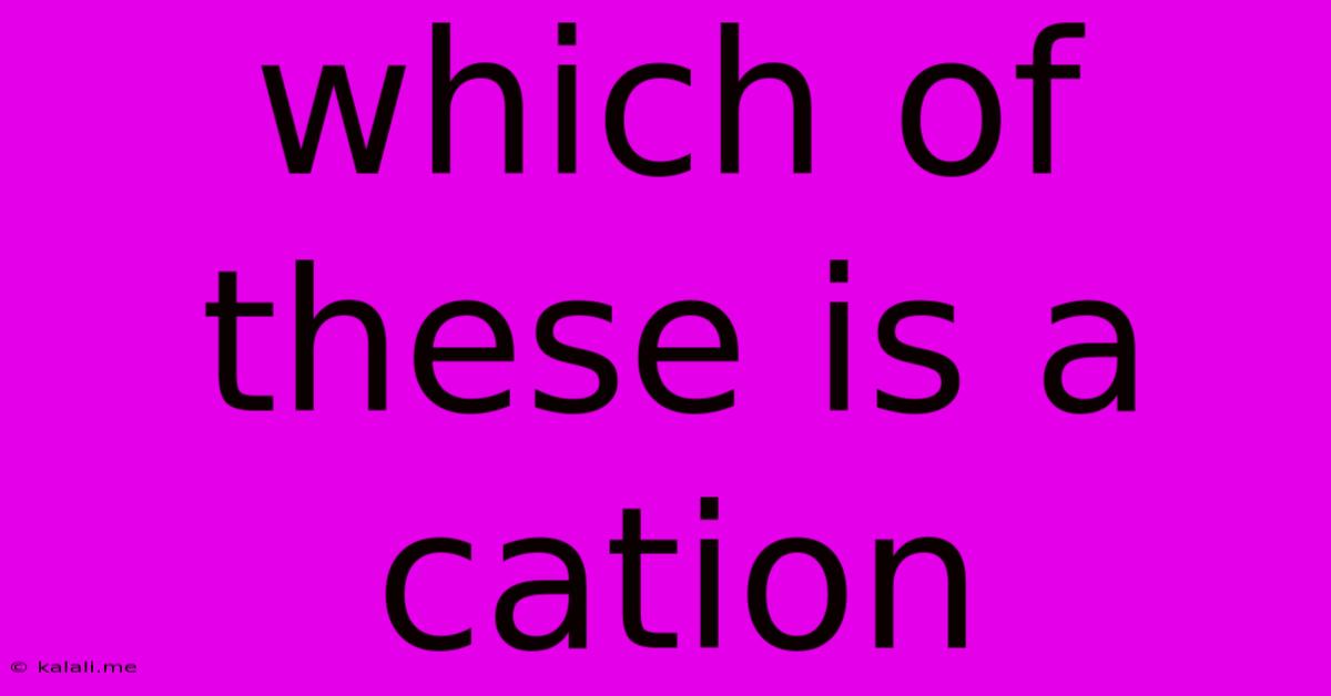 Which Of These Is A Cation