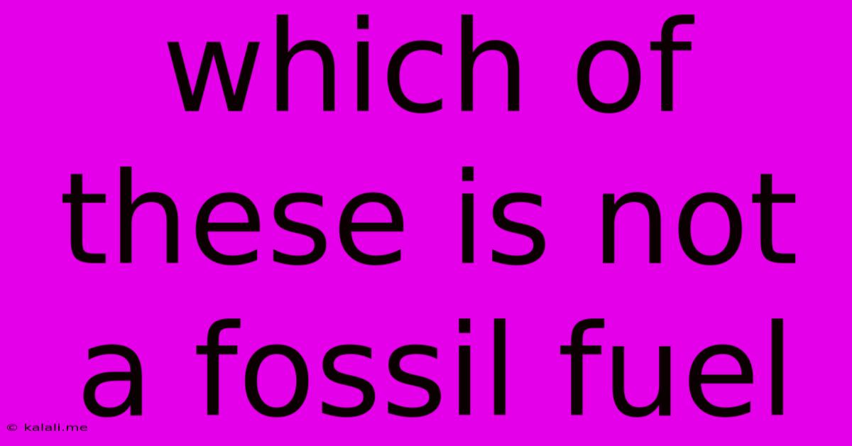 Which Of These Is Not A Fossil Fuel