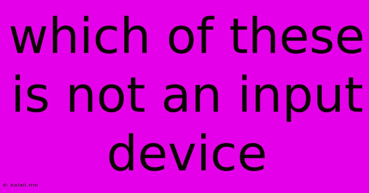 Which Of These Is Not An Input Device