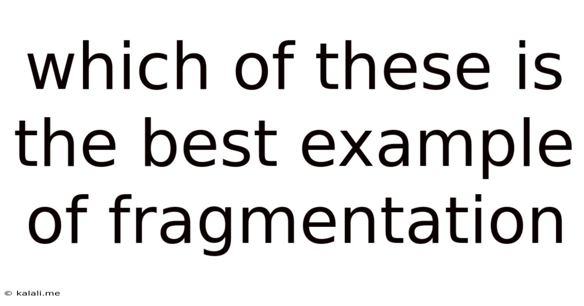 Which Of These Is The Best Example Of Fragmentation