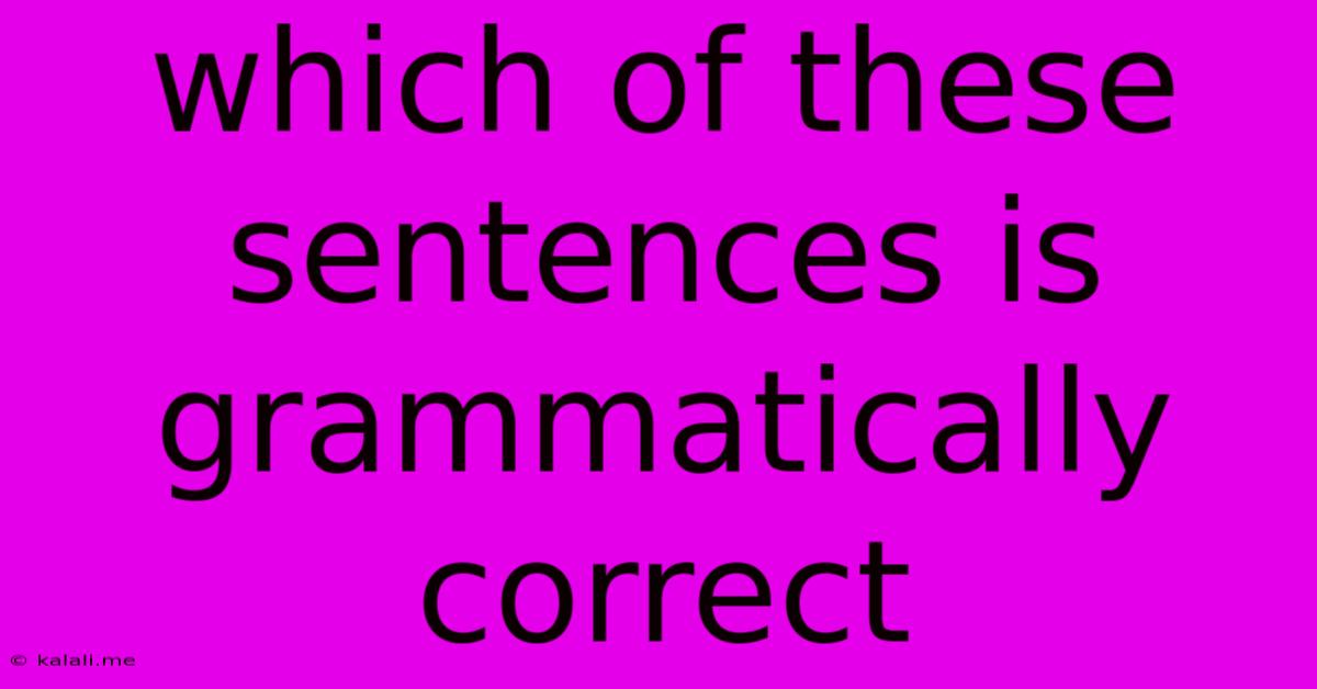 Which Of These Sentences Is Grammatically Correct