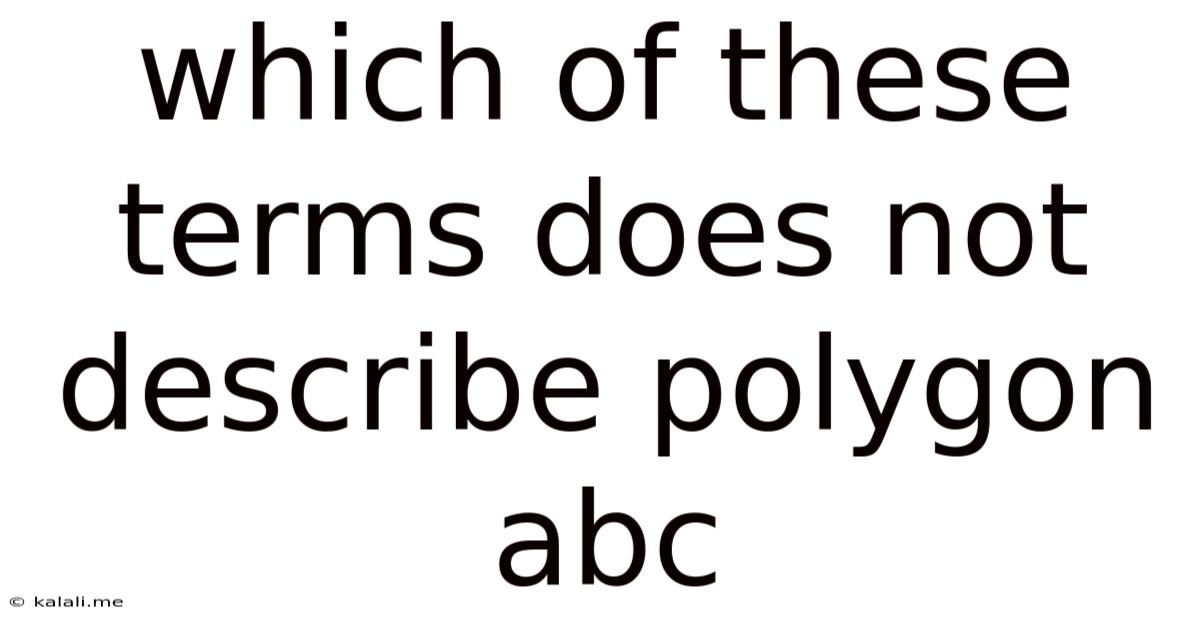 Which Of These Terms Does Not Describe Polygon Abc