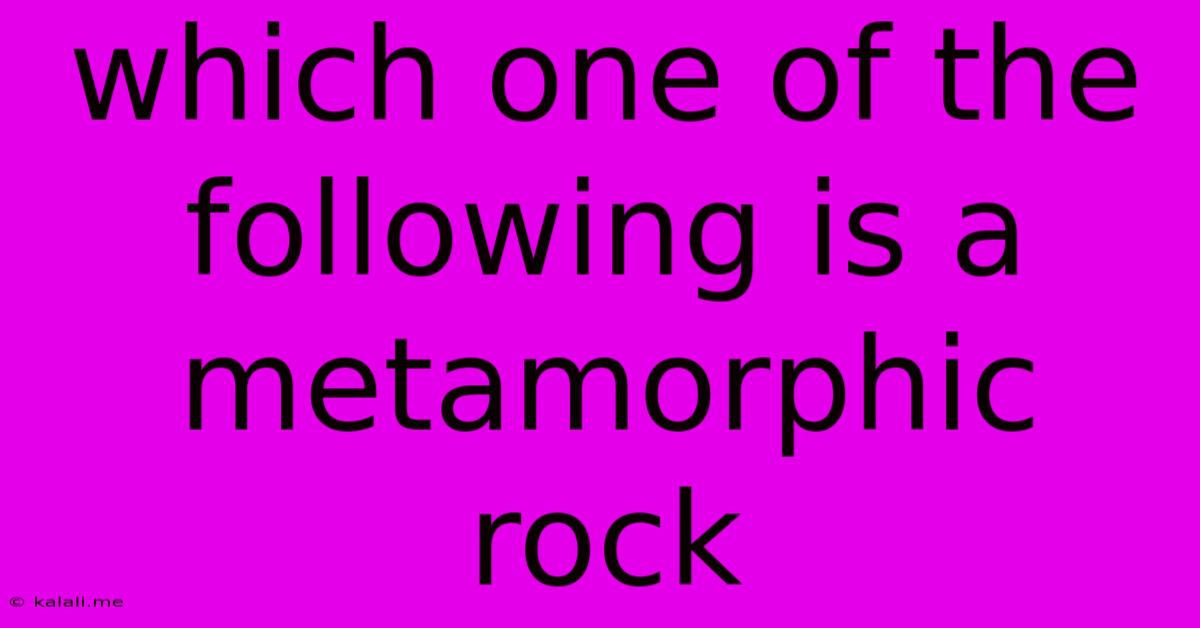 Which One Of The Following Is A Metamorphic Rock