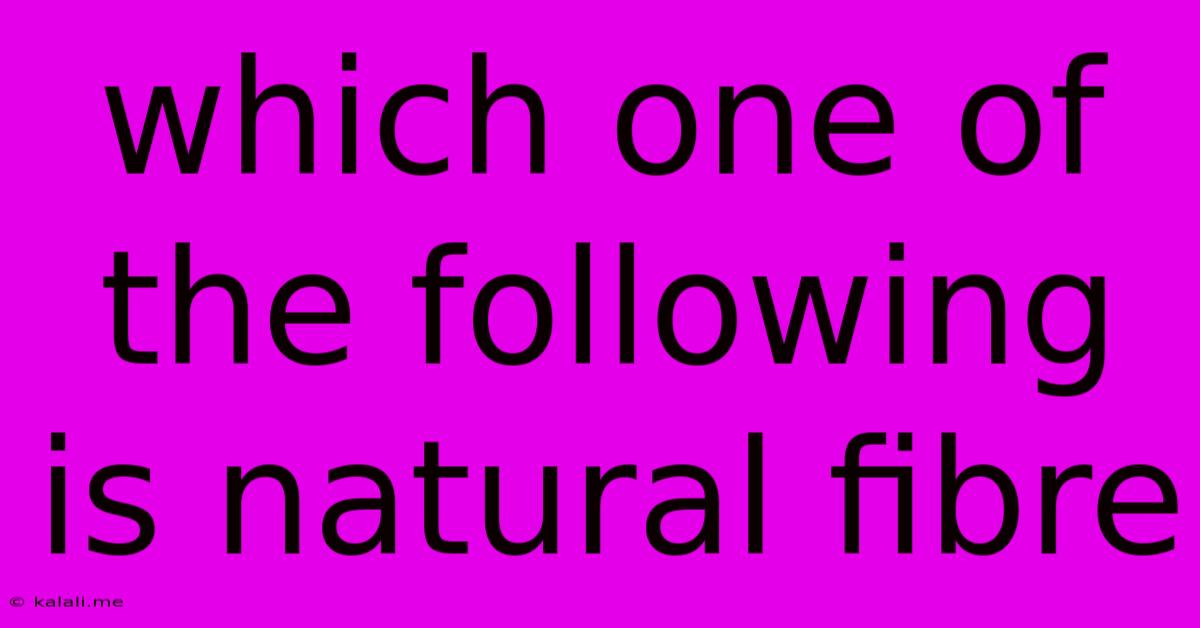Which One Of The Following Is Natural Fibre