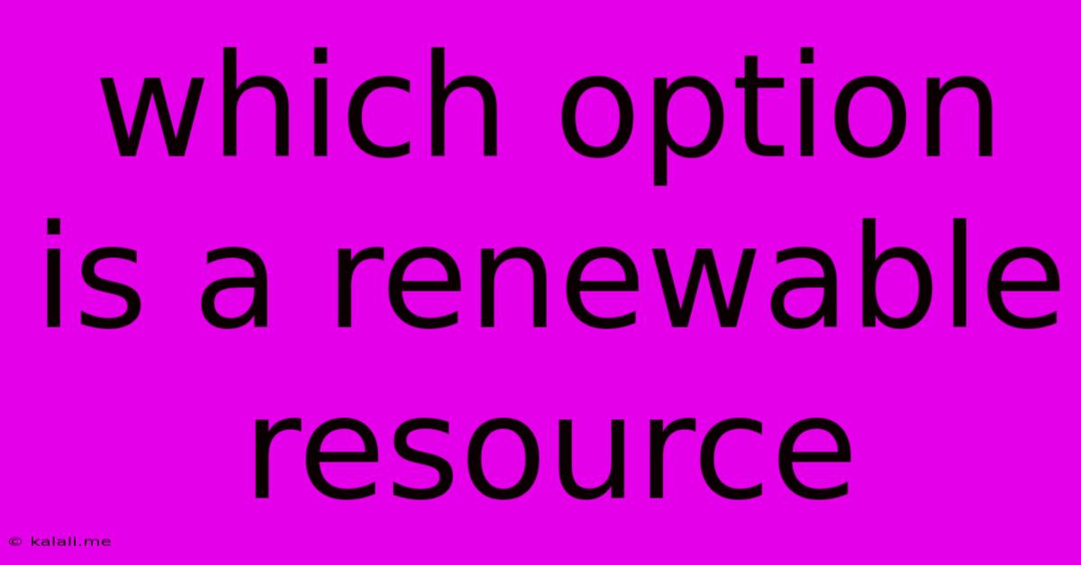 Which Option Is A Renewable Resource