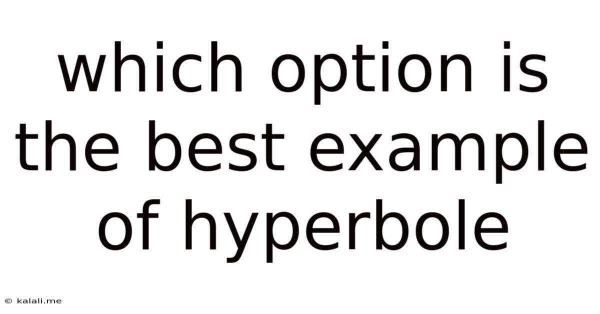 Which Option Is The Best Example Of Hyperbole