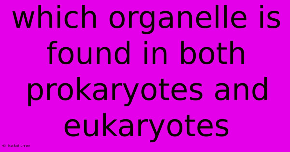 Which Organelle Is Found In Both Prokaryotes And Eukaryotes