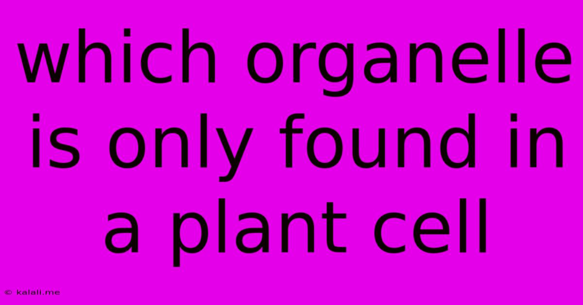 Which Organelle Is Only Found In A Plant Cell
