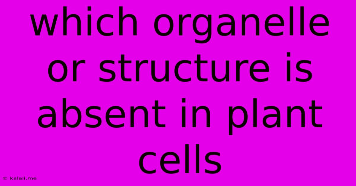 Which Organelle Or Structure Is Absent In Plant Cells