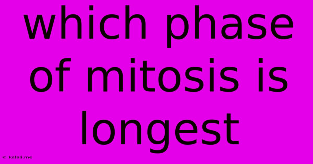 Which Phase Of Mitosis Is Longest