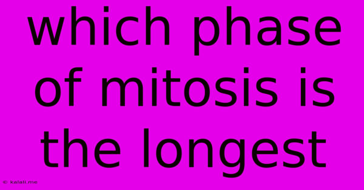 Which Phase Of Mitosis Is The Longest