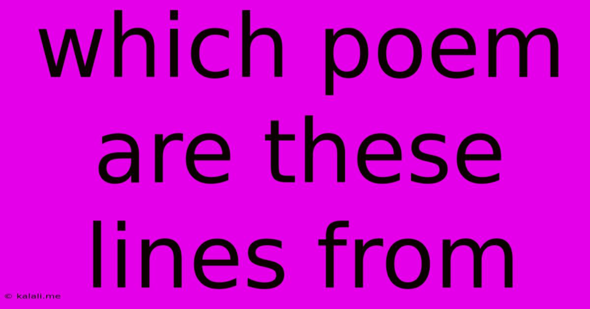 Which Poem Are These Lines From