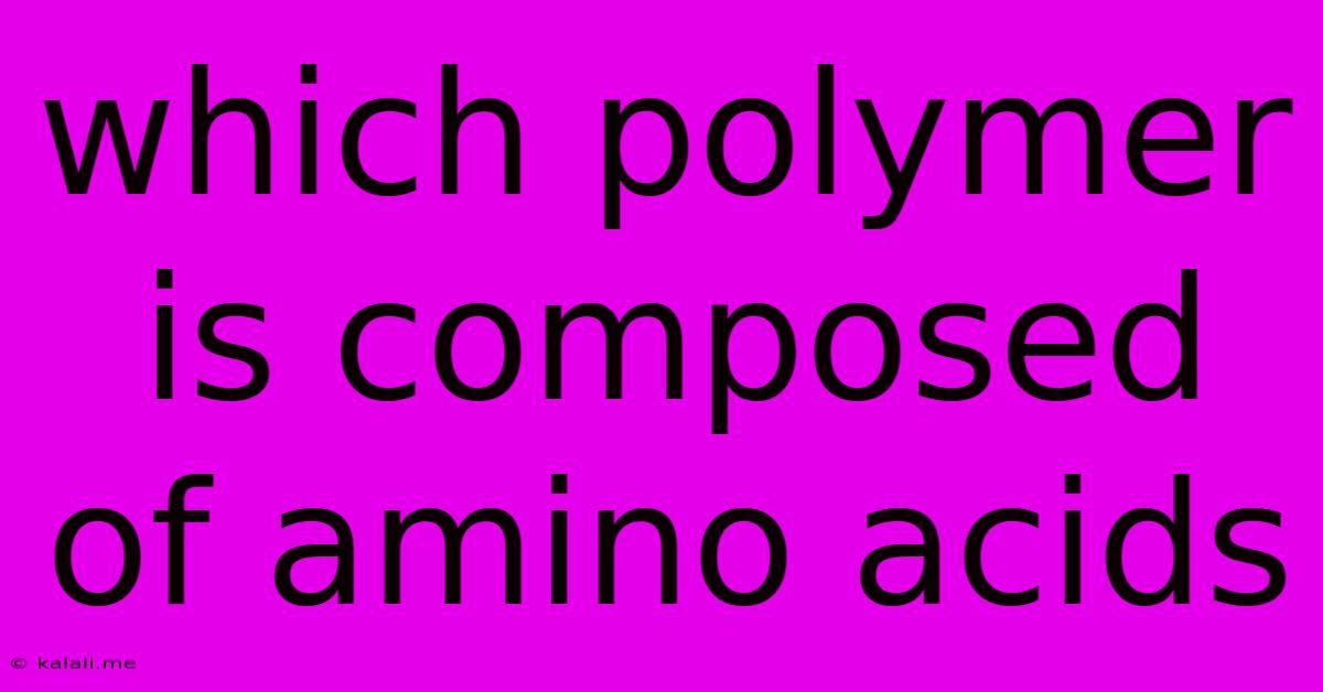Which Polymer Is Composed Of Amino Acids