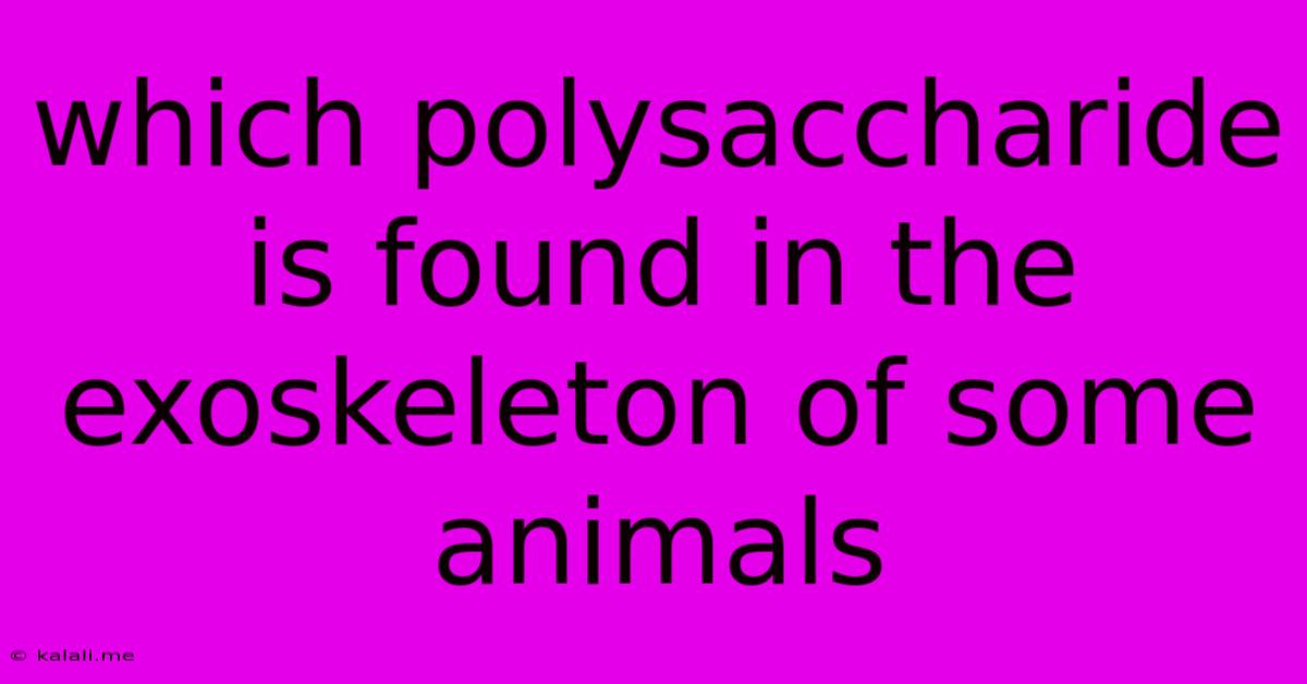 Which Polysaccharide Is Found In The Exoskeleton Of Some Animals