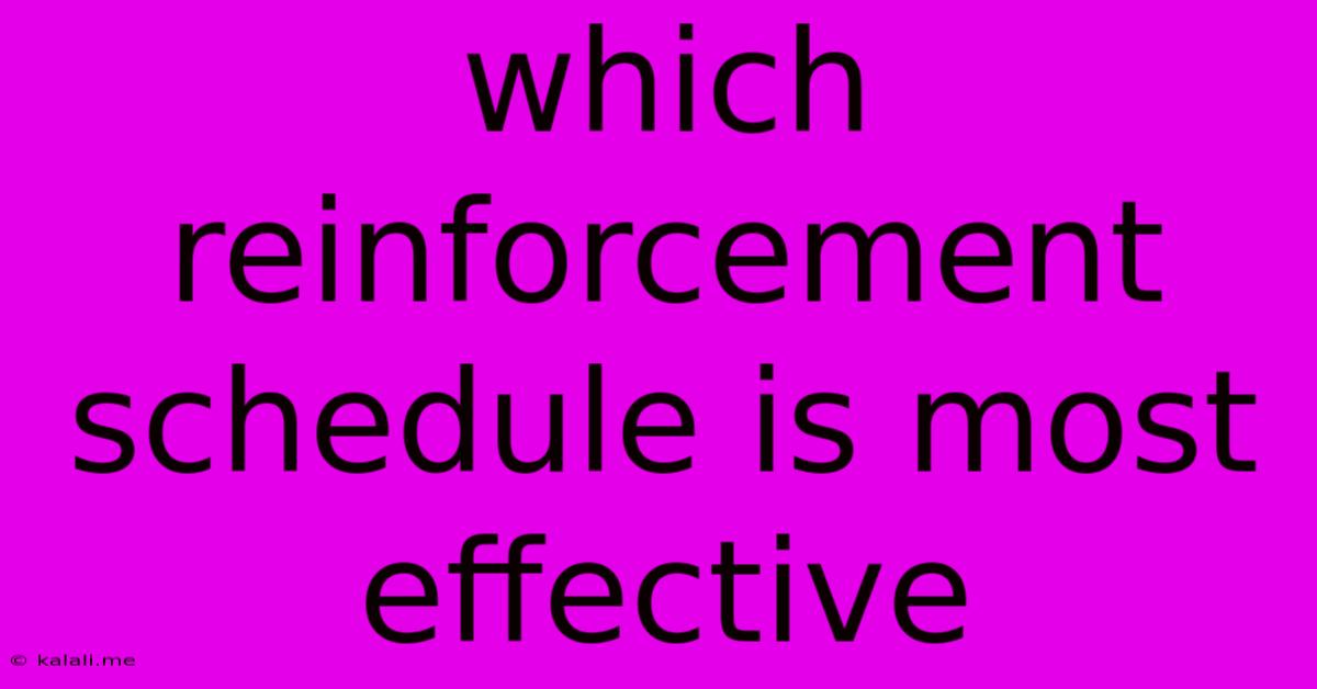 Which Reinforcement Schedule Is Most Effective