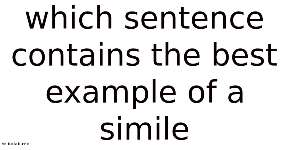 Which Sentence Contains The Best Example Of A Simile