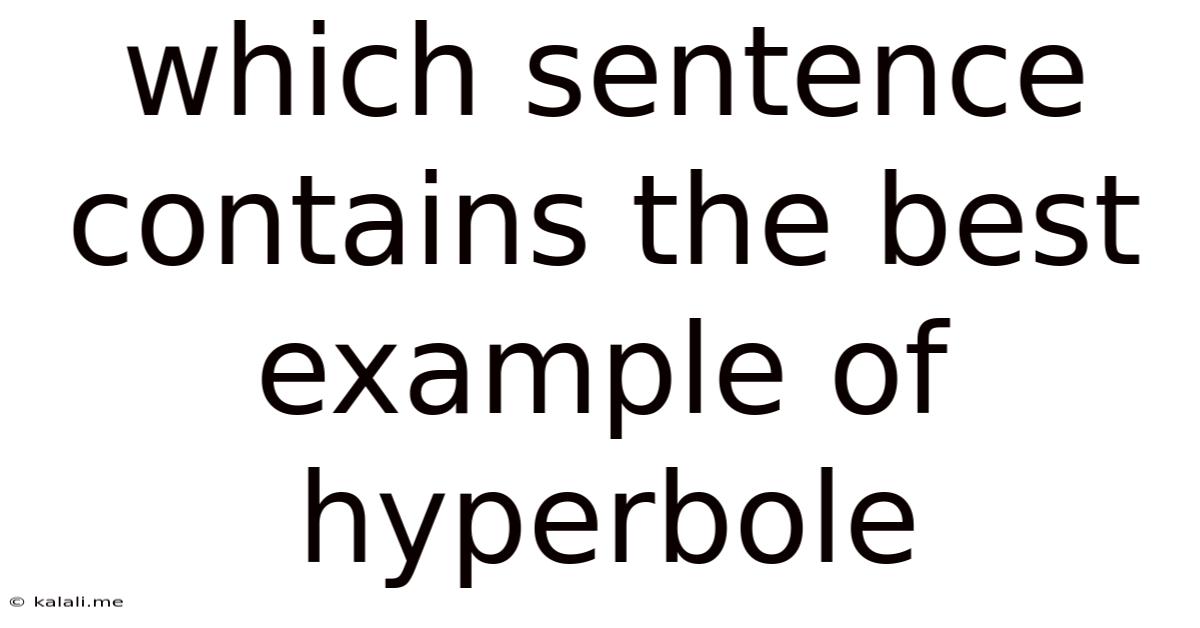 Which Sentence Contains The Best Example Of Hyperbole
