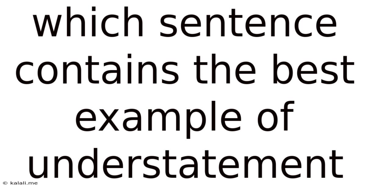 Which Sentence Contains The Best Example Of Understatement