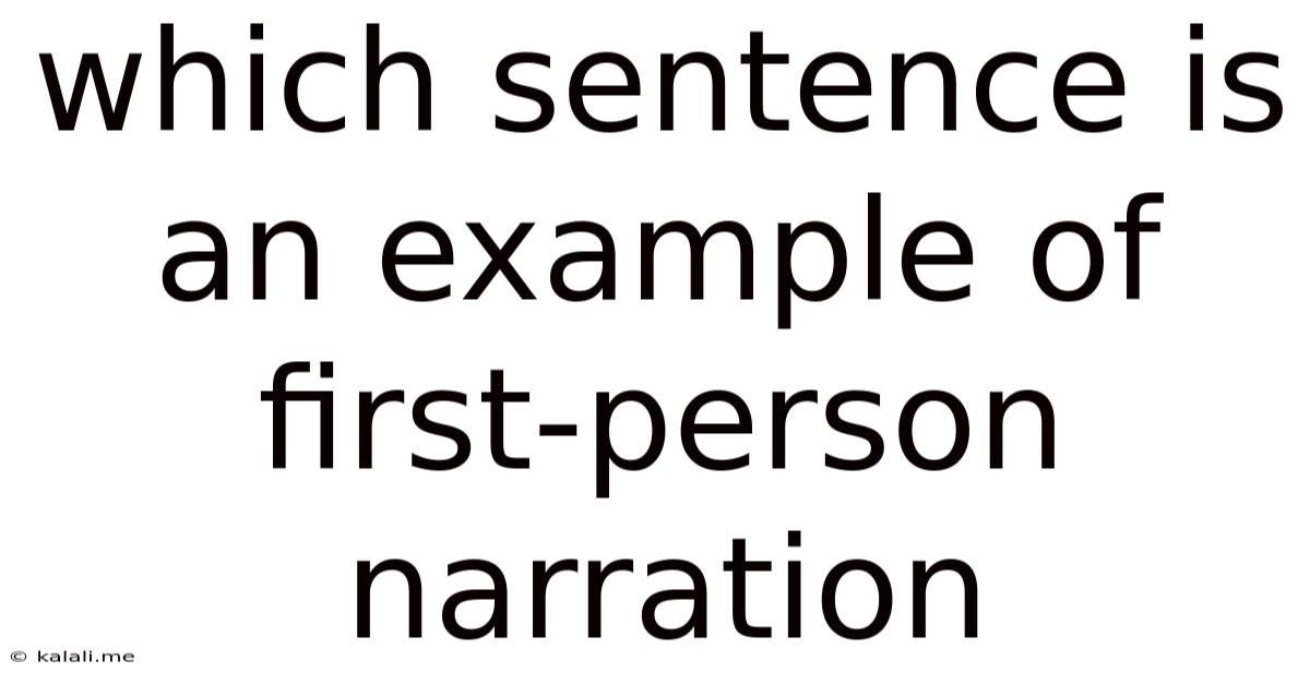 Which Sentence Is An Example Of First-person Narration