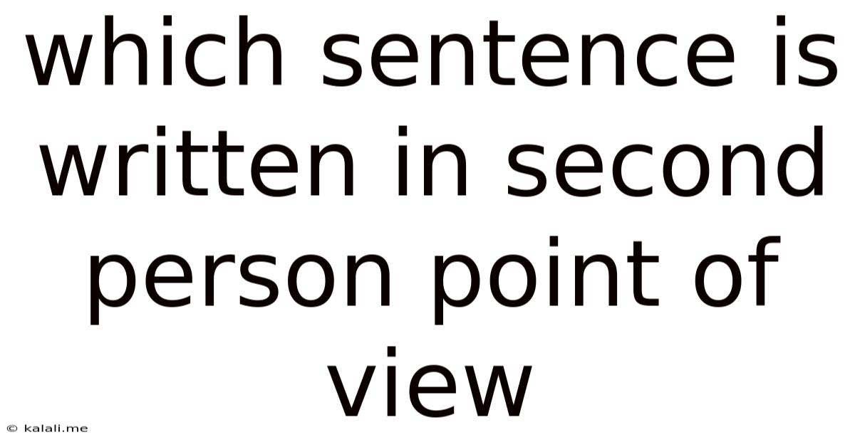 Which Sentence Is Written In Second Person Point Of View