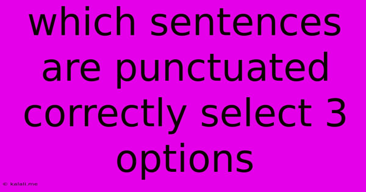 Which Sentences Are Punctuated Correctly Select 3 Options