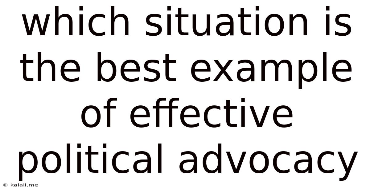 Which Situation Is The Best Example Of Effective Political Advocacy