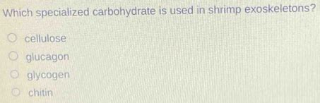 Which Specialized Carbohydrate Is Used In Shrimp Exoskeletons