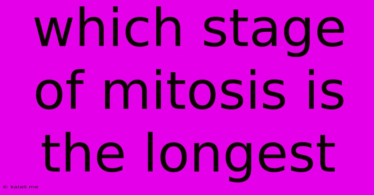 Which Stage Of Mitosis Is The Longest