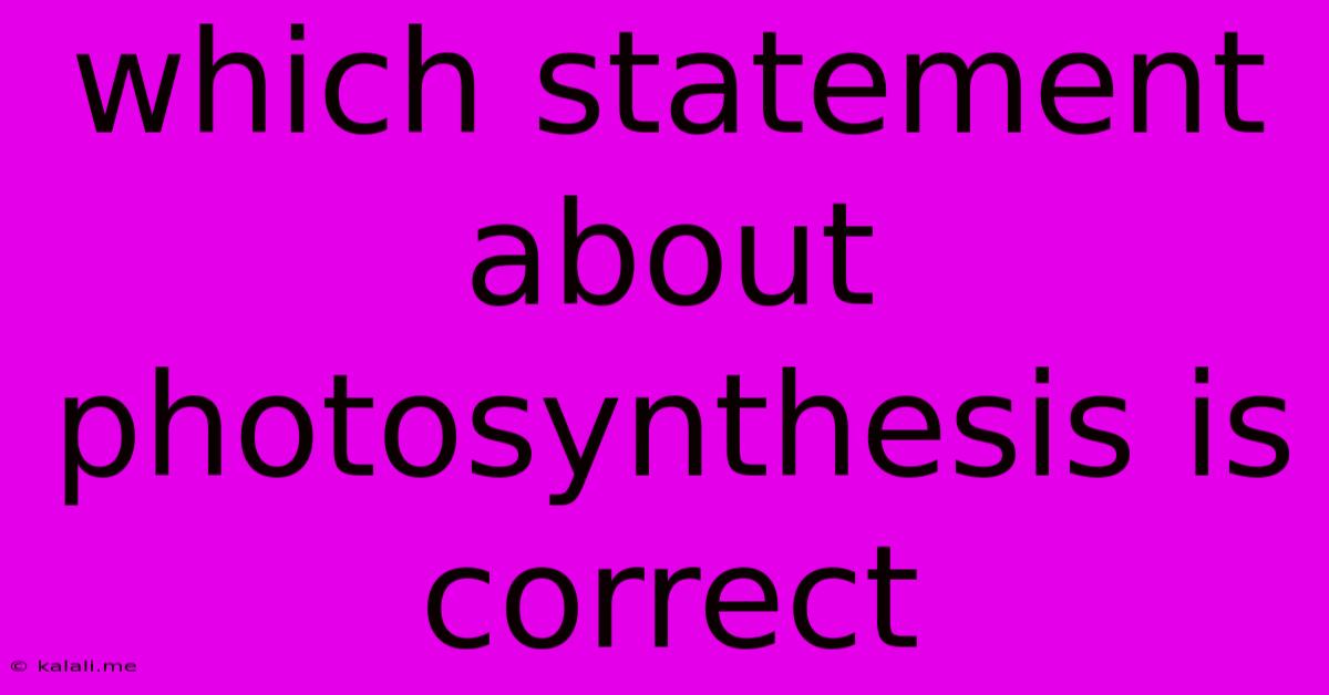 Which Statement About Photosynthesis Is Correct