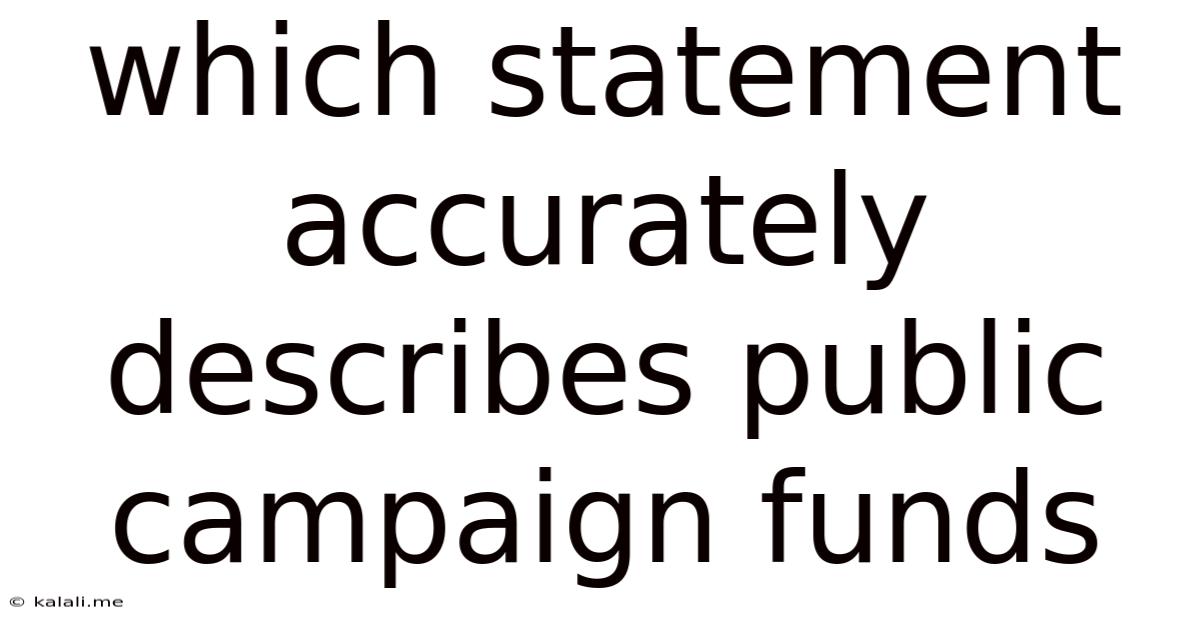 Which Statement Accurately Describes Public Campaign Funds