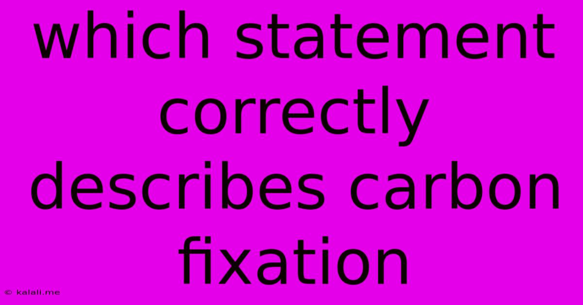 Which Statement Correctly Describes Carbon Fixation