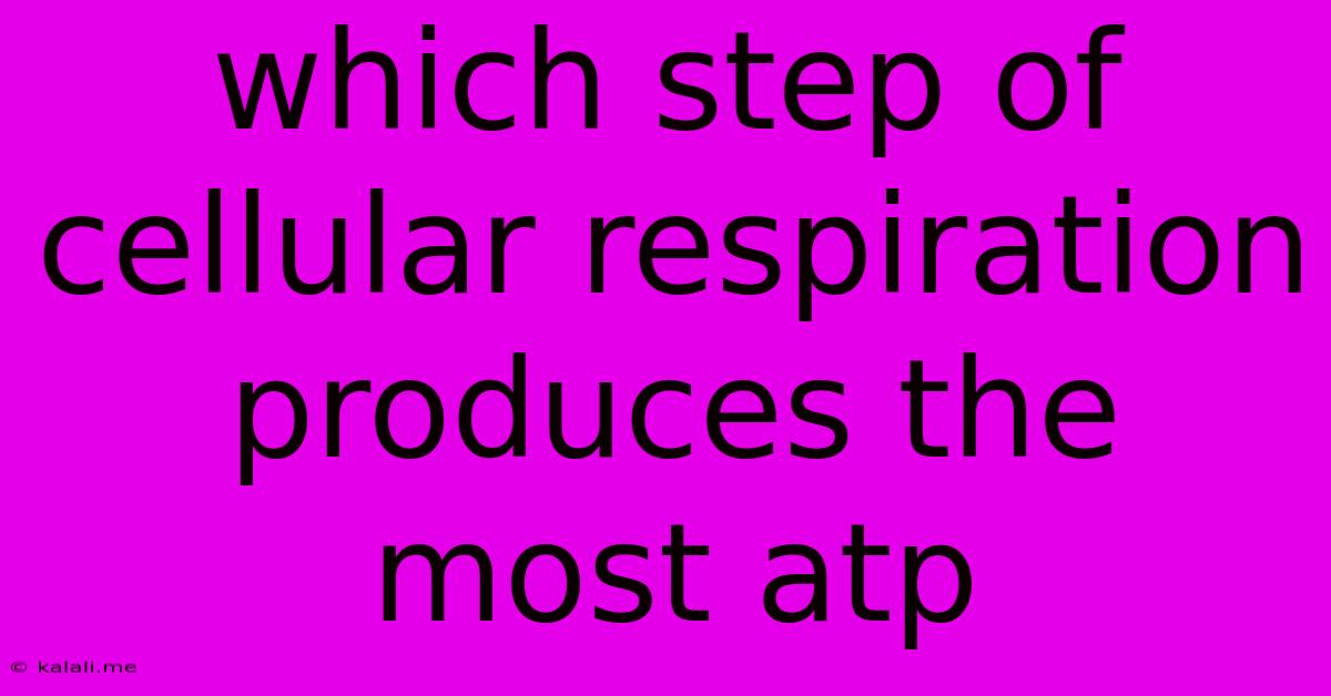 Which Step Of Cellular Respiration Produces The Most Atp