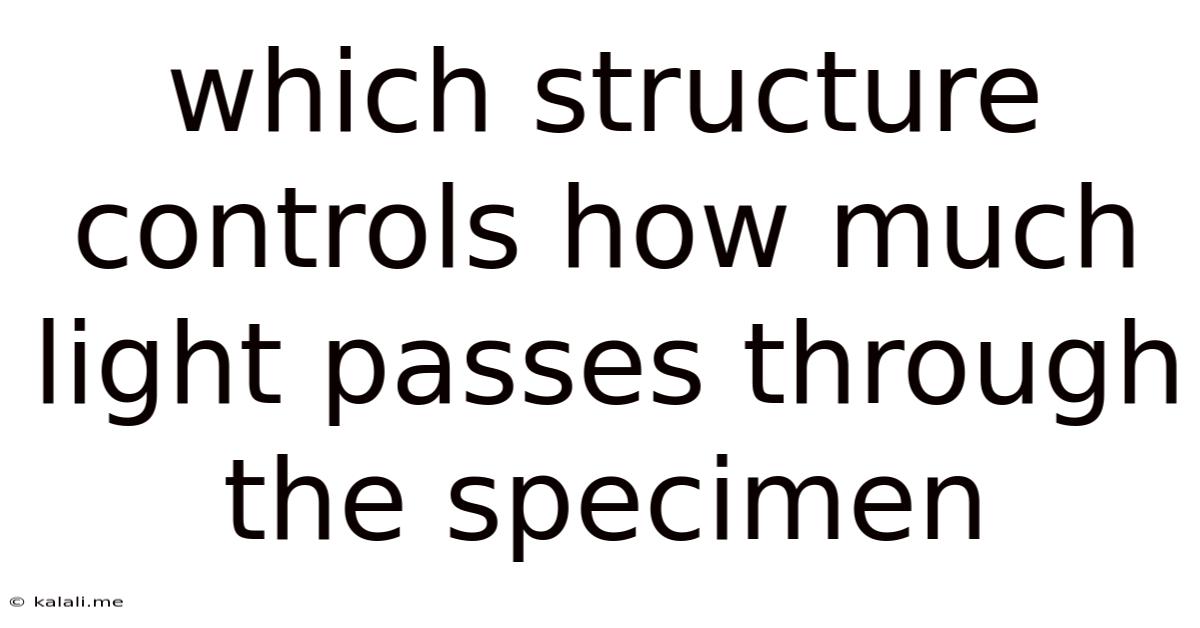 Which Structure Controls How Much Light Passes Through The Specimen