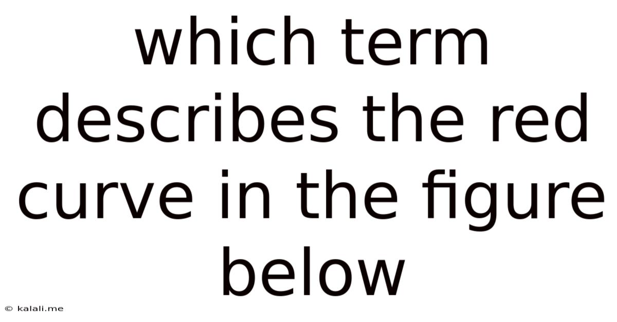 Which Term Describes The Red Curve In The Figure Below