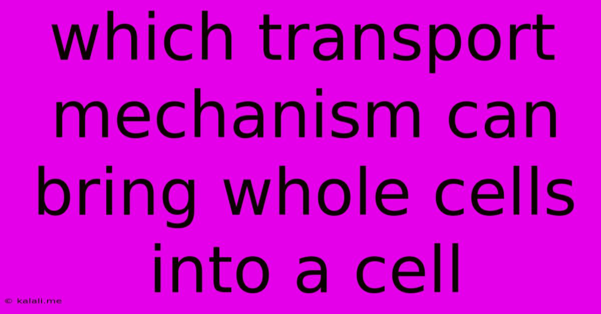 Which Transport Mechanism Can Bring Whole Cells Into A Cell