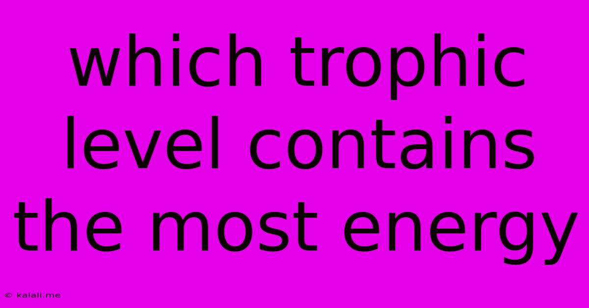 Which Trophic Level Contains The Most Energy