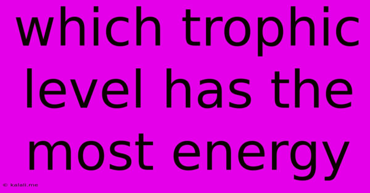 Which Trophic Level Has The Most Energy